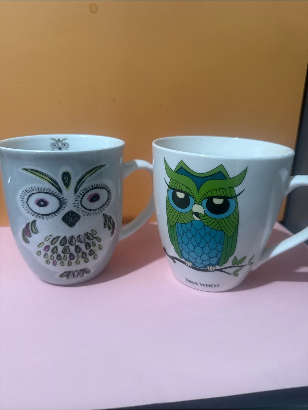 White Ceramic Owl Mugs (2) with Green and Blue Owl Design